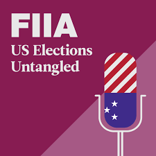 US Elections Untangled