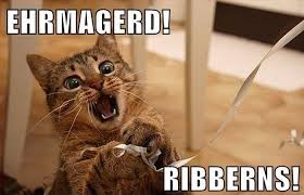 26 Ways Cats Gleefully and Shamelessly Annoy Humans – Angst Anarchy via Relatably.com