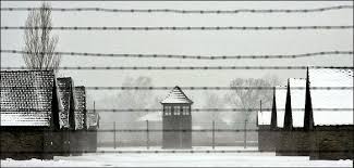 Résultat de recherche d'images pour "resister dans les camps nazis"