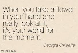 Image result for georgia o'keeffe quotes