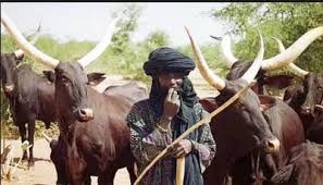 Image result for fulani herdsmen