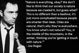 Joe Rogan Quotes Life. QuotesGram via Relatably.com