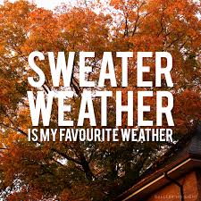 Image result for sweater weather