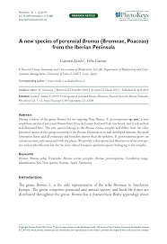 (PDF) A new species of perennial Bromus (Bromeae, Poaceae) from ...