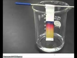 Image result for chromatography