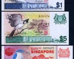 新加坡10元紙鈔