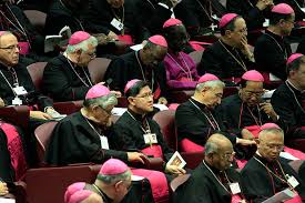 Image result for synod