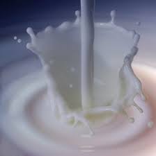 Image result for flowing milk