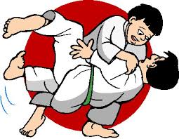 Resultat d'imatges de judo