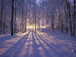 Image result for winter images