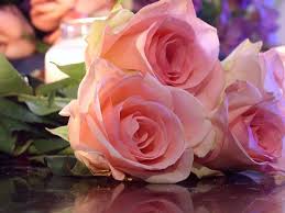 Resultado de imagen de rosas bonitas