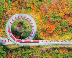 칠갑산도립공원 풍경, AI로 생성