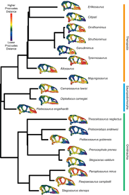 Decelerated dinosaur skull evolution with the origin of birds | PLOS ...