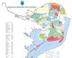 Rezervația Biosferei Delta Dunării
