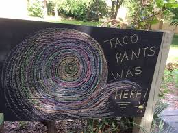Image result for tacopants
