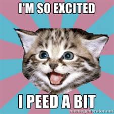 Overly-Excited-Cat | Meme Generator via Relatably.com