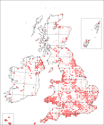 Vicia sativa subsp. sativa | Online Atlas of the British and Irish Flora