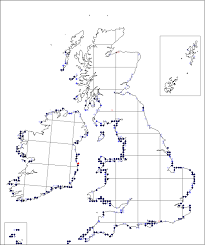 Eryngium maritimum | Online Atlas of the British and Irish Flora