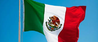 Image result for mexico flag