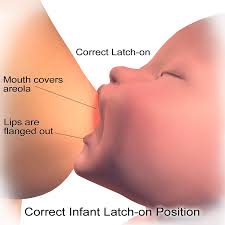 Hasil gambar untuk breastfeeding positions