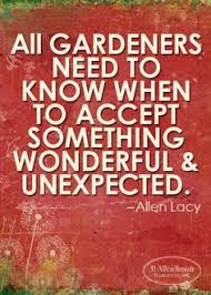 Gardening quotes on Pinterest | Garden Quotes, Garden Signs and ... via Relatably.com
