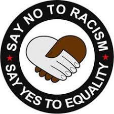 Image result for hockey racism