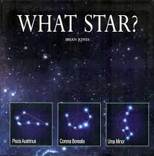 Image result for starlights in the sky