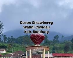 Gambar Pagi hari di Dusun Strawberry Walini Ciwidey