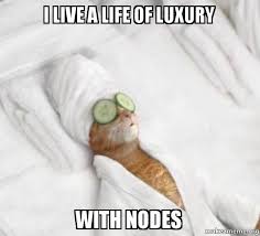 I live a life of luxury with nodes - Pampered Cat Meme | Make a Meme via Relatably.com