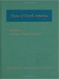 Amazon.com: Flora of North America, Volume 8, Magnoliophyta ...