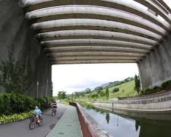 Best Cycling Trails To Try In Singapore