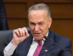 Image result for chuck schumer