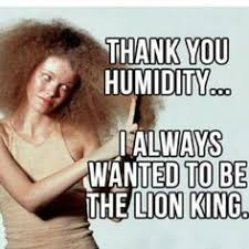 Summer frizz..... on Pinterest | Frizzy Hair, Hedges and In Style via Relatably.com