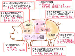 「豚肉 イラスト 無料」の画像検索結果