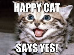 Memes Vault Happy Cat Memes via Relatably.com