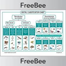 Animal Classification KS2 Chart | Vertebrates and invertebrates ...