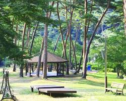 태안 안면도 자연휴양림 소나무숲, AI로 생성