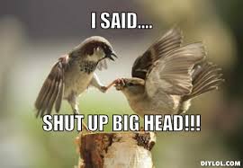 Bird Fight Meme Generator - DIY LOL via Relatably.com