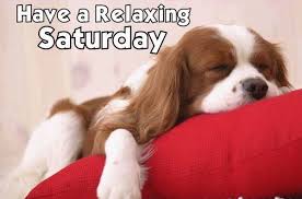 Image result for relaxing saturday pics