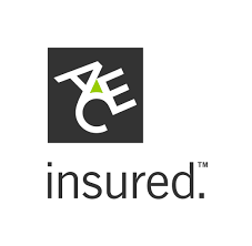 Image result for ace group insurance