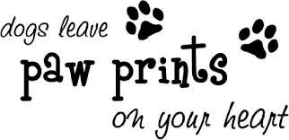 Amazon.com - Dogs leave paw prints on your heart cute puppy wall ... via Relatably.com