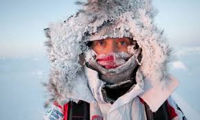 Image result for arctic expedition