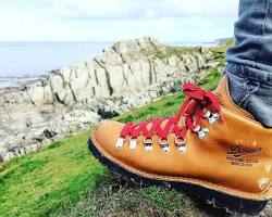 Image of Danner Mountain Light sneakers