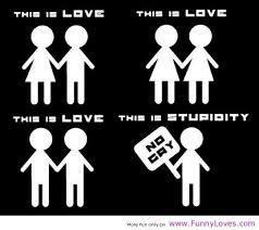 This is Love Stupidity Quotes - Funny Loves Fun World | support ... via Relatably.com