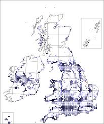 Carlina vulgaris | Online Atlas of the British and Irish Flora