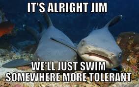 Compassionate Shark Friend memes | quickmeme via Relatably.com