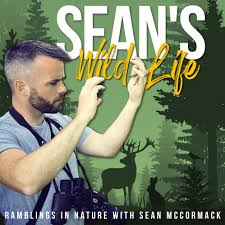 Sean's Wild Life