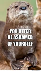 You Otter Be Ashamed | WeKnowMemes via Relatably.com