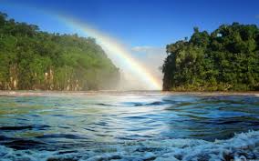 Image result for rainbows in the background