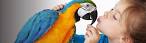 pictures of 2 parrots kissing girlfriend prank